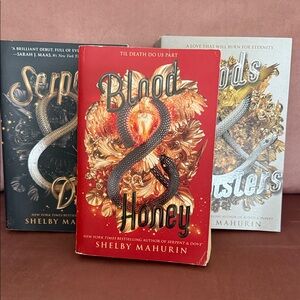 Blood & Honey Book by Shelby Mahurin